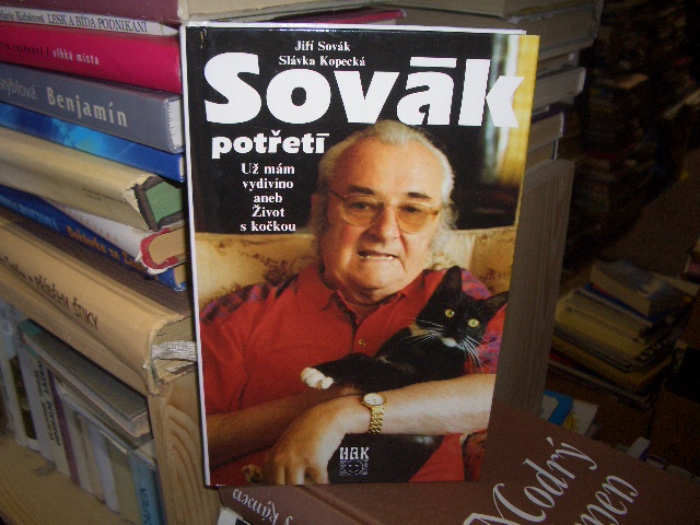 Zav��t okno