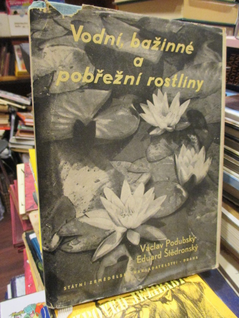 Zav��t okno