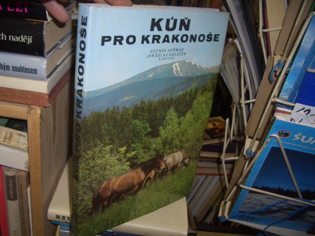 Zav��t okno