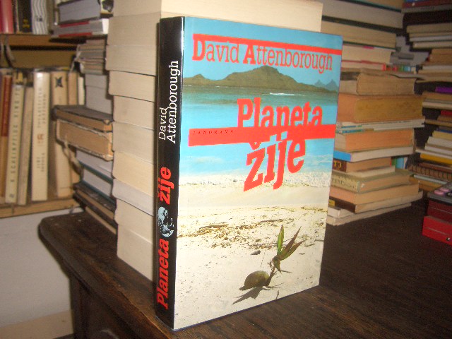 Zav��t okno