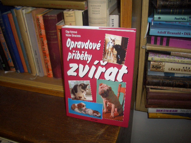 Zav��t okno