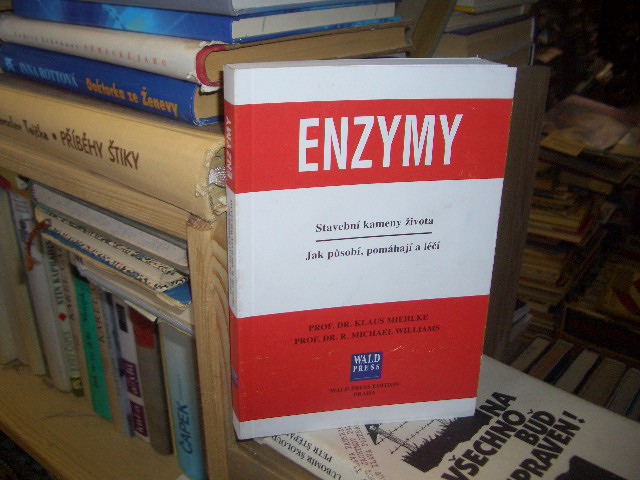 Zav��t okno