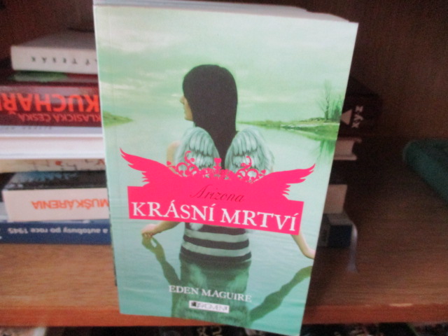 Zav��t okno