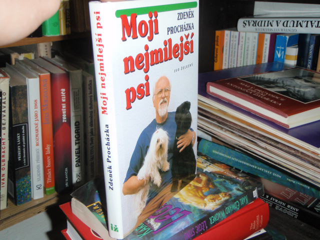 Zav��t okno
