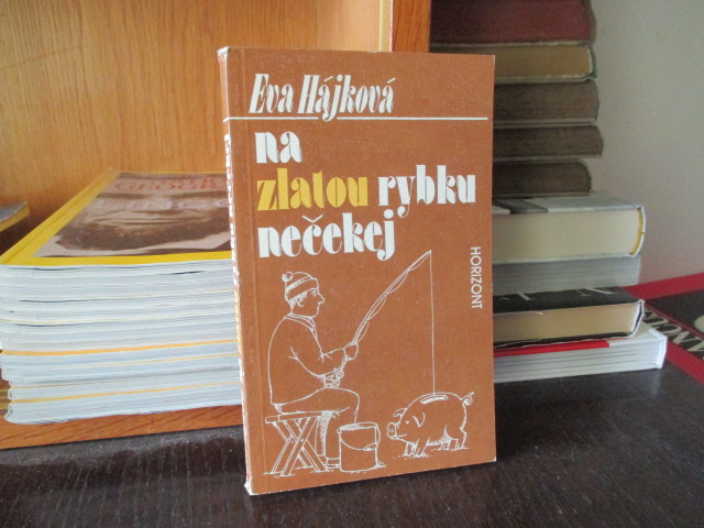 Zav��t okno