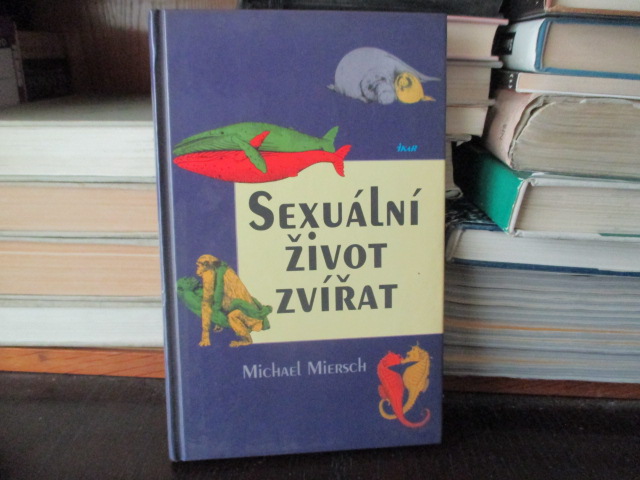 Zav��t okno