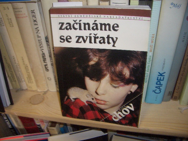 Zav��t okno