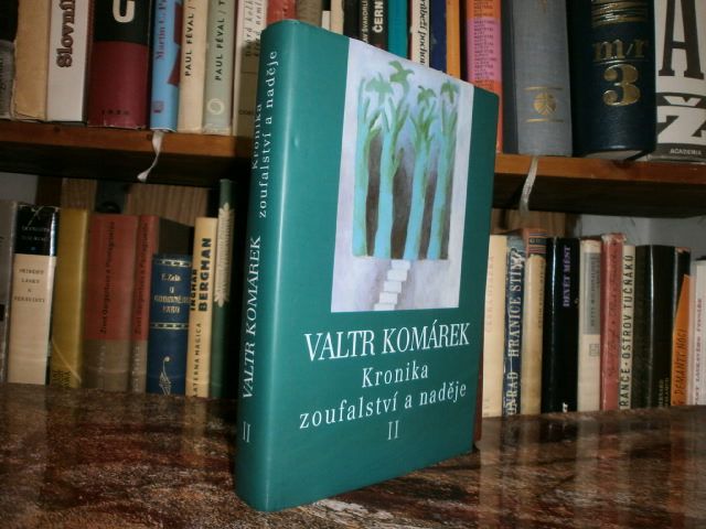 Zav��t okno