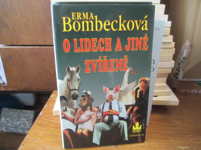 Zav��t okno