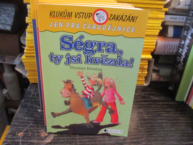 Zav��t okno