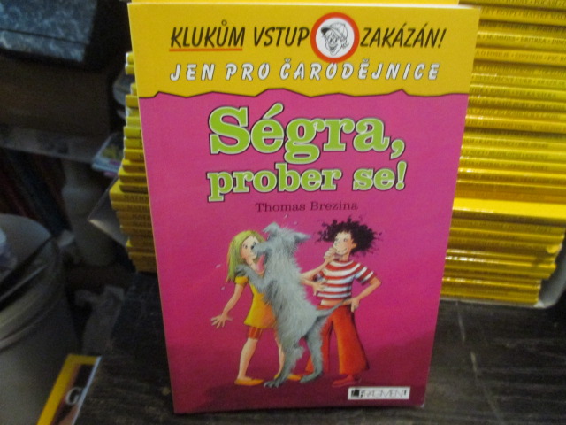 Zav��t okno