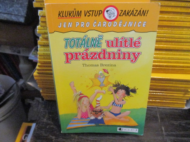 Zav��t okno