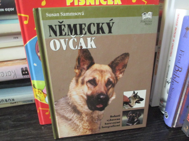 Zav��t okno