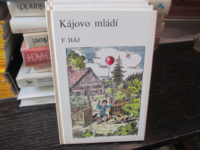 Zav��t okno