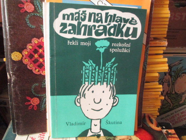 Zav��t okno