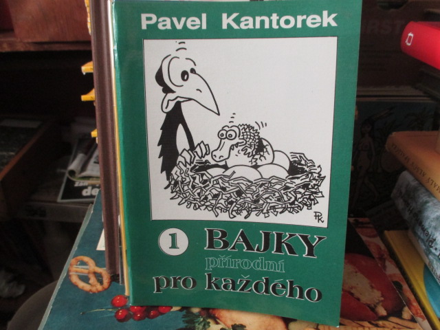 Zav��t okno