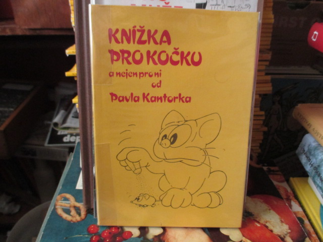 Zav��t okno