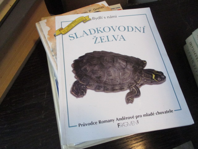 Zav��t okno