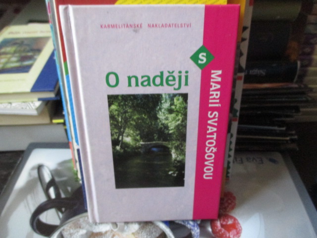 Zav��t okno