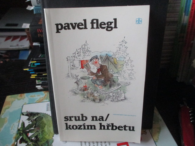 Zav��t okno
