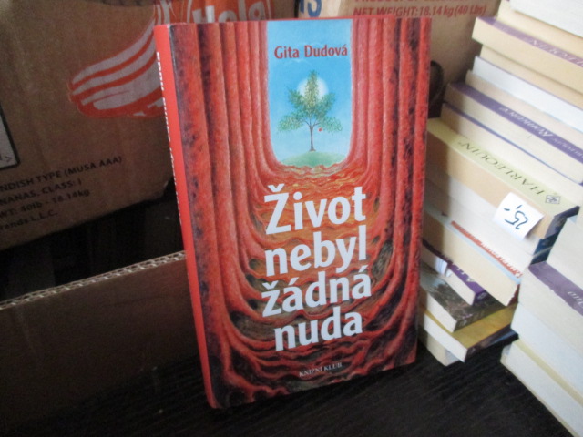 Zav��t okno
