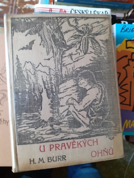 Zav��t okno