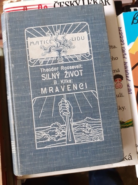 Zav��t okno