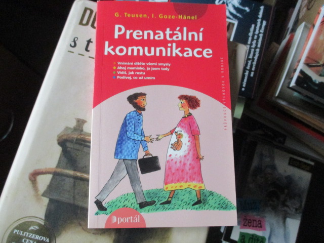 Zav��t okno