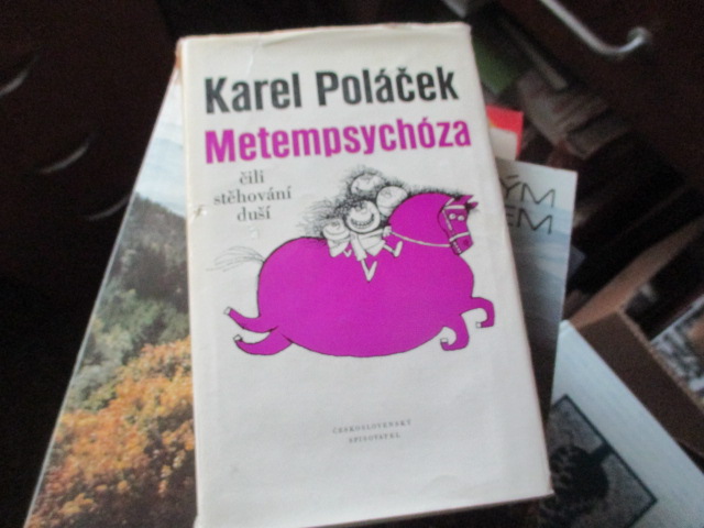 Zav��t okno