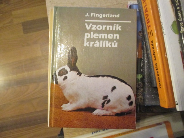 Zav��t okno