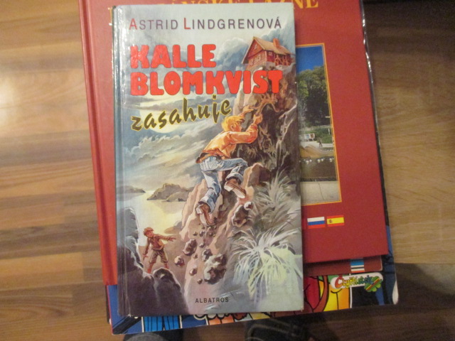 Zav��t okno