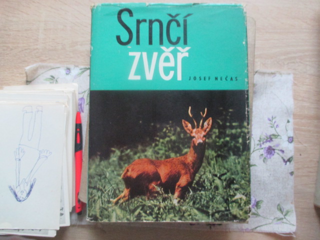 Zav��t okno