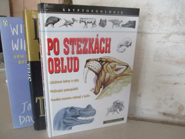 Zav��t okno