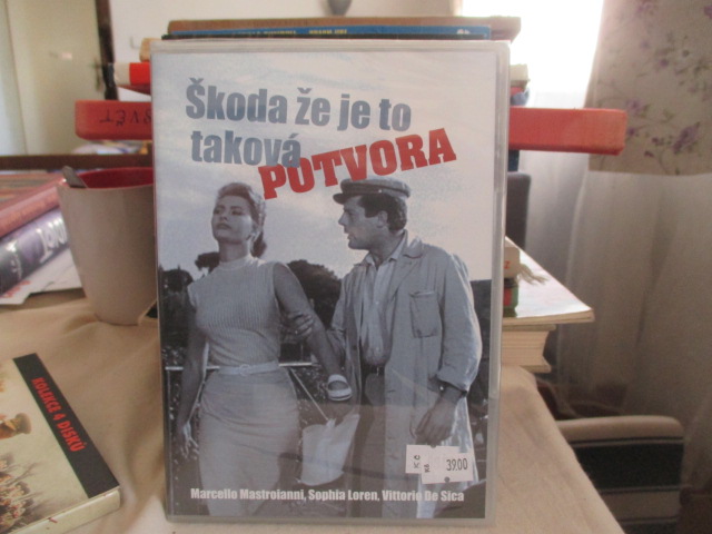 Zav��t okno