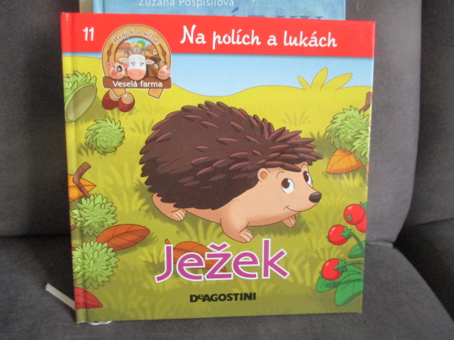 Zav��t okno