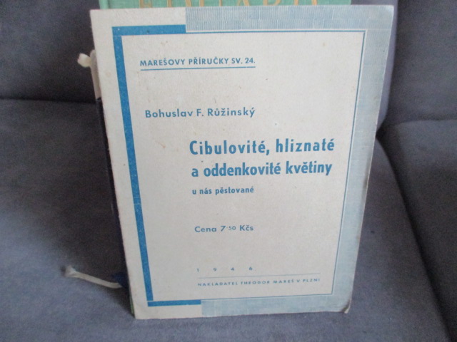 Zav��t okno