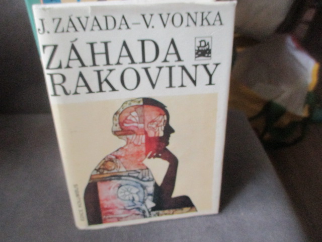 Zav��t okno