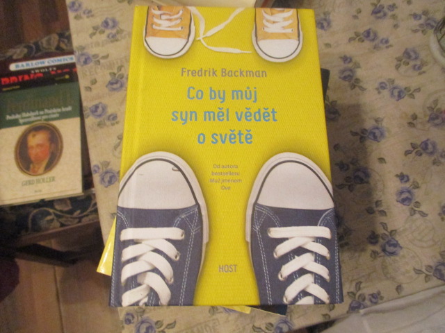 Zav��t okno