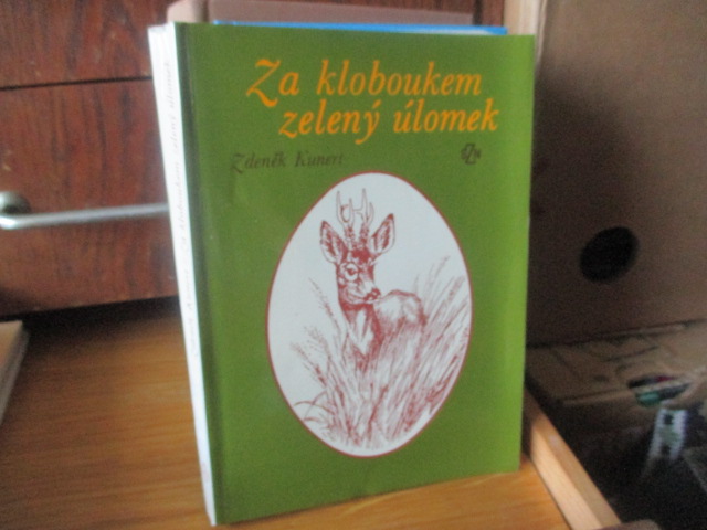 Zav��t okno