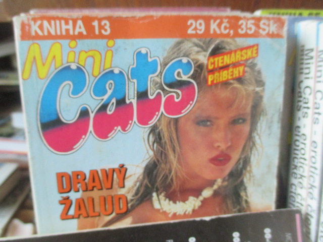 Zav��t okno
