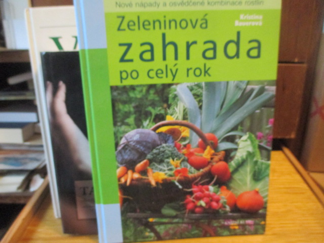 Zav��t okno
