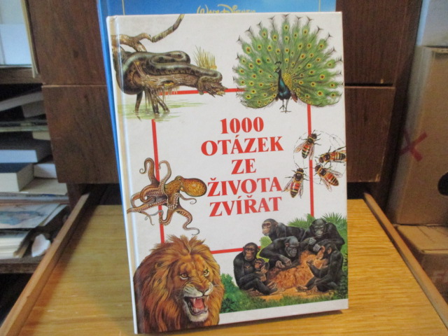 Zav��t okno