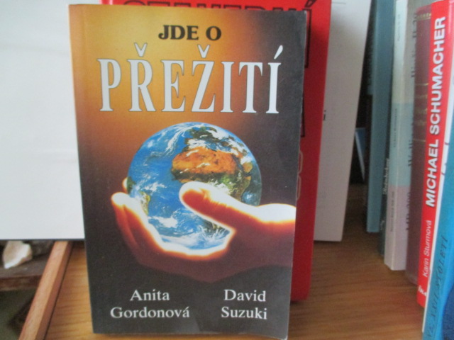 Zav��t okno
