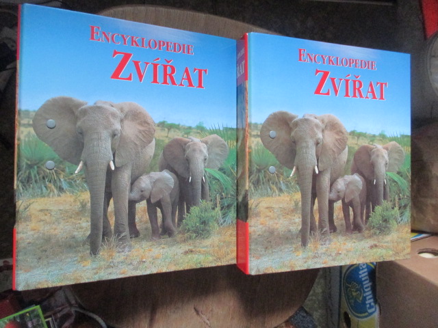 Zav��t okno
