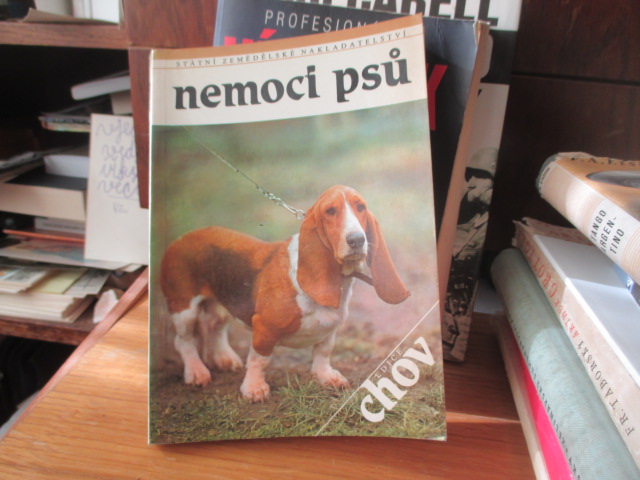 Zav��t okno