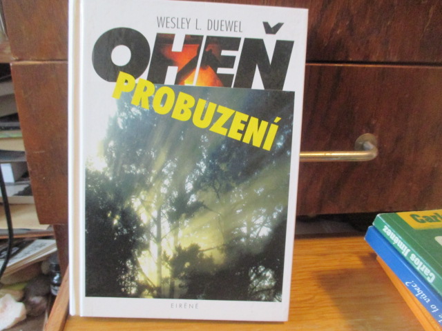 Zav��t okno