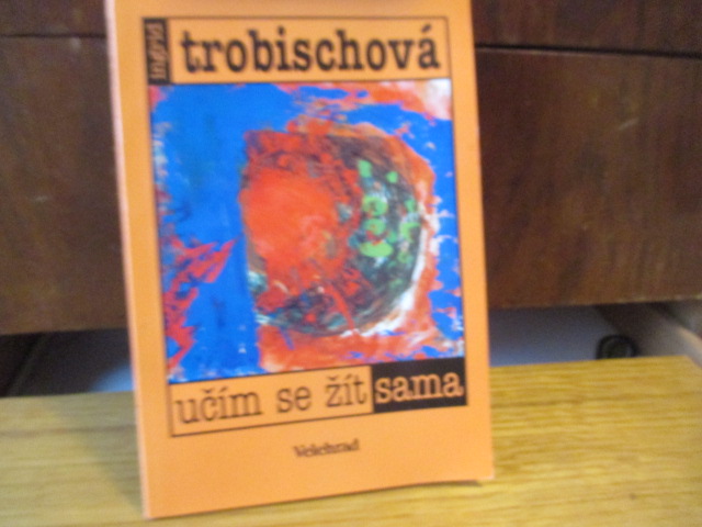 Zav��t okno