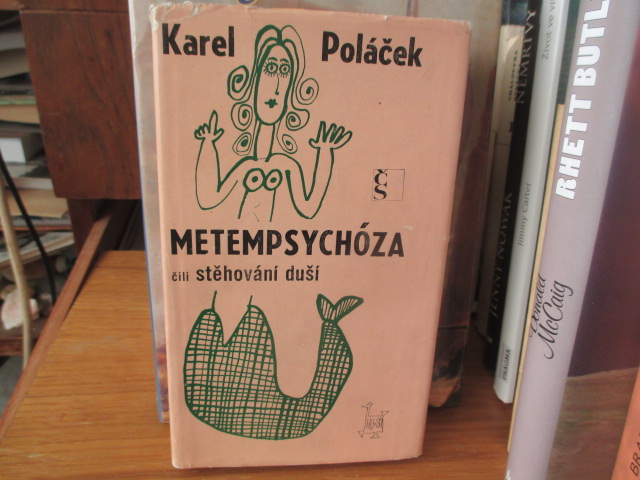 Zav��t okno