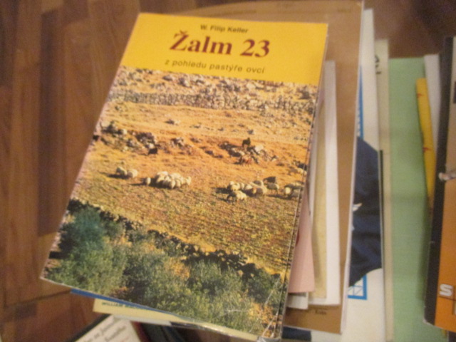 Zav��t okno
