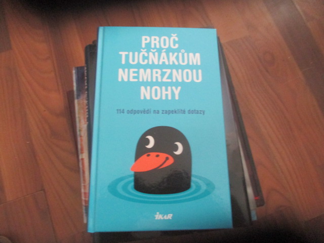 Zav��t okno